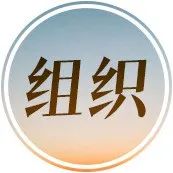 如何通过组织架构，洞察企业增长的秘密？