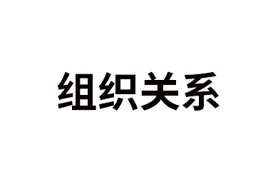 组织关系